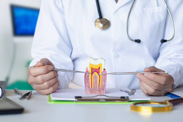 Best Same-Day Emergency Dental Services in Vega, TX